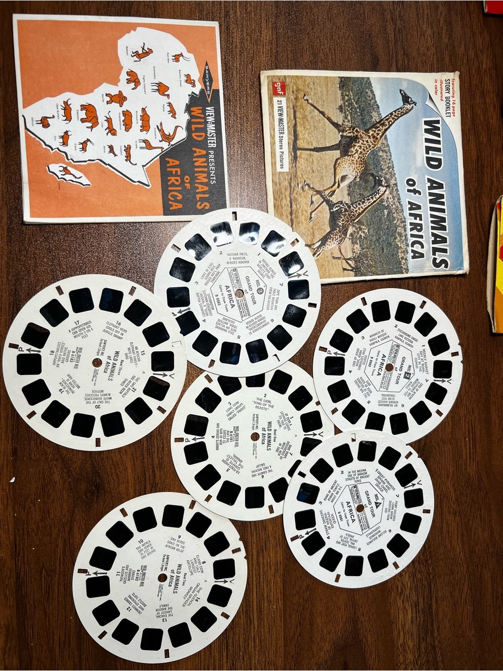 View-Master Wild Animals of Africa Reel Set - White